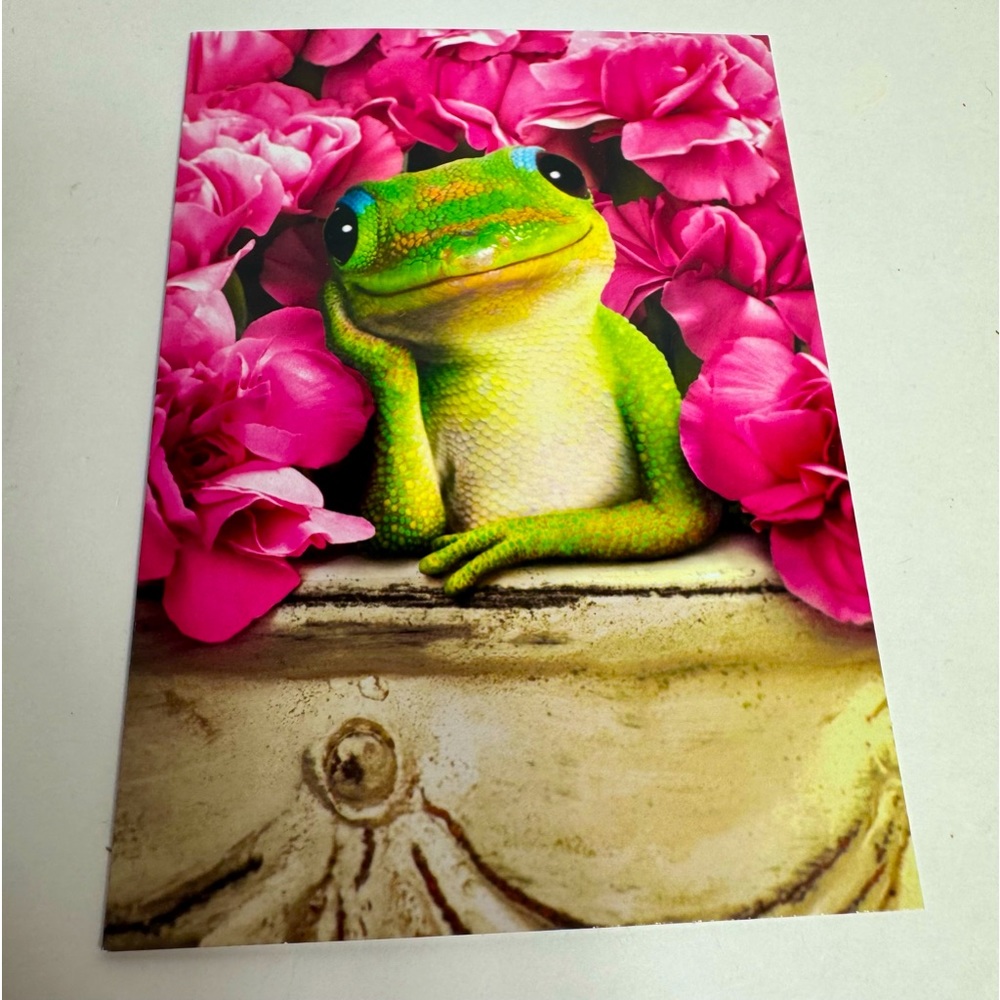 6 Avanti Greeting cards - Lizzard surrounded by pink flowers
Holiday: Valentines